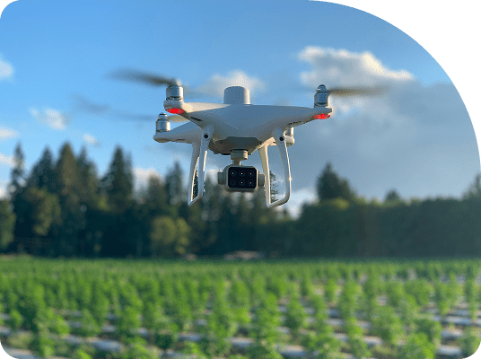 Blue Nose Drone Photography Services Drone